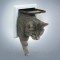 Trixie (Трикси) 2-Way Cat Flap Дверца для кошек пластик 21 × 21 см