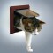 Trixie (Трикси) 4-Way Cat Flap with Tunnel Дверца для кошки 4 позиции с туннелем 21 × 21 см