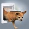 Trixie (Трикси) Way Dog Flap Дверца для собак и кошек пластик 25 × 29 см
