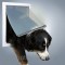 Trixie (Трикси) Way Dog Flap Дверца для собак пластик 39 × 45 см