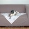 Trixie (Трикси) Mimi Blanket покрывало подстилка для кошек 70 × 50 см