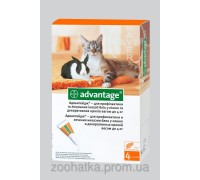 Advantage 40 (Адвантейдж 40) от блох и власоедов для котов и кошек от 4 до 8 кг