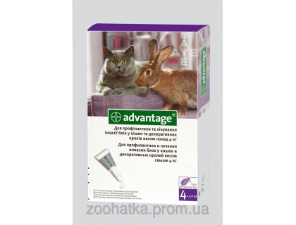 Advantage 80 (Адвантейдж 80) от блох и власоедов для котов и кошек от 4 до 8 кг