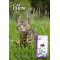 Cat Chow (Кет Чоу) Hairball Control Корм для контроля образования комков шерсти 400 г