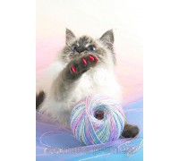 Антицарапки для котят-подростков и взрослых кошек