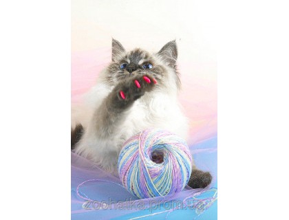 Антицарапки для котят-подростков и взрослых кошек