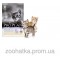 Pro Plan (Про План) Junior Chicken & Rice Корм для котят курица рис 1,5 кг