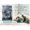 Pro Plan (Про План) Dental Plus Корм для кошек с курицей для поддержания здоровья ротовой полости 1,5 кг