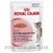 Royal Canin (Роял Канин) Kitten Instinctive консервированный корм для котят до 12 месяцев 85 г