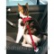 Trixie (Трикси) Car Harness Автошлея с поводком для кошек