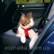 Trixie (Трикси) Car Harness Автошлея с поводком для кошек