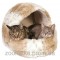 Trixie Домик для кота Leika Cuddly Cave