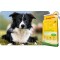 Josera SensiPlus (15 кг) гипоаллергенный корм для собак c чувствительным пищеварением (Джосера, Йозера)