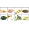 Luposan (Люпосан) Lupo Sensitiv 24/10 (15 кг) гипоалергенный сухой корм для чувствительных собак