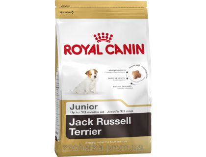 Royal Canin (Роял канин) Jack Russell Terrier Junior (0,5 кг) корм для щенков породы Джек Рассел до 10 мес