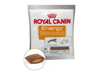 Royal Canin (Роял канин) Energy для взрослых собак с высокой физической активностью