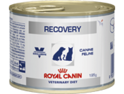 Royal Canin (Роял канин) Recovery Консерва для собак и кошек восстановительный период после болезни