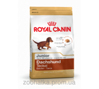 Royal Canin (Роял канин) Dachshund Junior (1,5 кг) корм для щенков породы такса до 10 месяцев