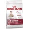 Royal Canin (Роял канин) Medium starter (12 кг) для щенков до 2-х мес., беременных и кормящих сук