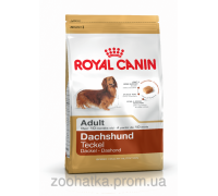 Royal Canin (Роял канин) Dachshund Adult (0,5 кг) корм для собак породы такса старше 10 месяцев