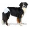 Trixie (Трикси) Diapers for Female Dogs Подгузники для собак M