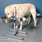 Trixie (Трикси) Dog Bar Стойка с мисками для собак 2 х 2800 мл