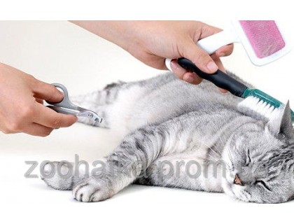 Стрижка котов и кошек