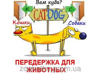 Передержка для собак и кошек