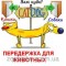 Передержка для собак и кошек
