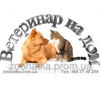 Ветеринарный врач