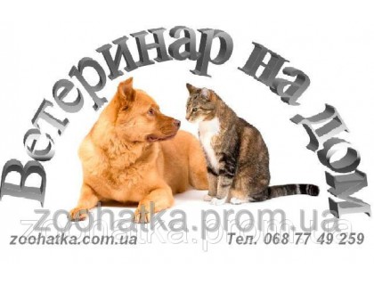 Ветеринарный врач