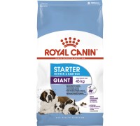 Royal Canin (Роял канин) Giant Starter (1 кг) корм для щенков до 2 мес., беременных и кормящих сук